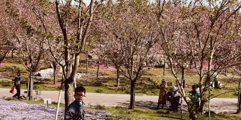 南通洲際綠博園