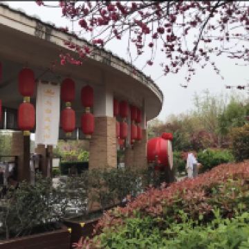 評論圖片 3