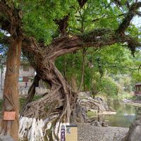 評論圖片 5