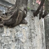 評論圖片 9