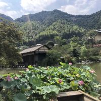 評論圖片 3