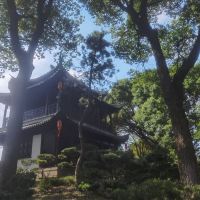 評論圖片 5