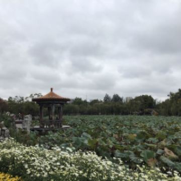 評論圖片 4