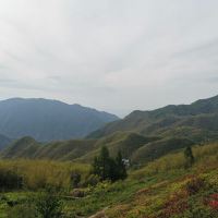 評論圖片 7