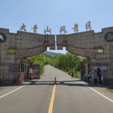 評論圖片 1