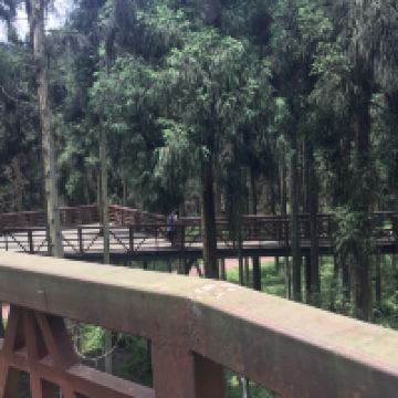 評論圖片 8