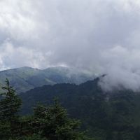 評論圖片 2