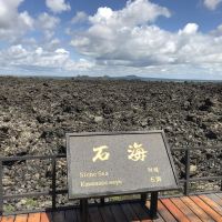 評論圖片 5
