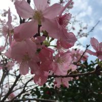 評論圖片 3