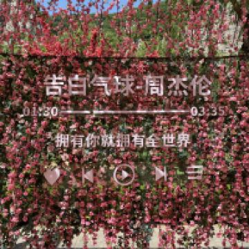 評論圖片 8