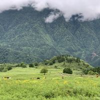 評論圖片 6