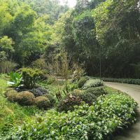 評論圖片 4