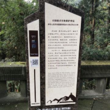 評論圖片 7