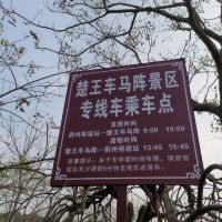 評論圖片 4