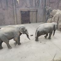 評論圖片 4