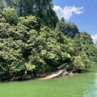 評論圖片 8