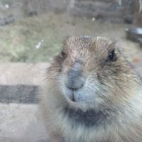 評論圖片 1