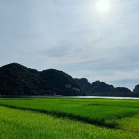 評論圖片 9