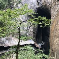 評論圖片 4