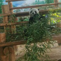評論圖片 6