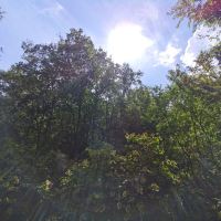 評論圖片 3