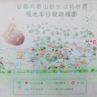 評論圖片 9