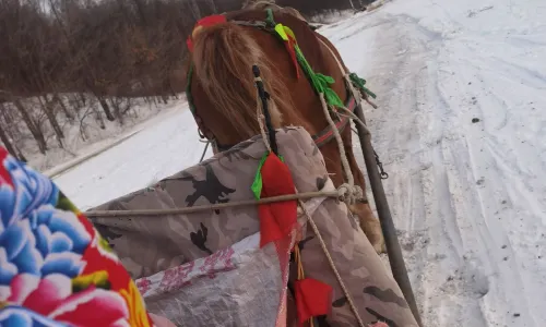 Snow Sledding in Harbin