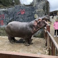 評論圖片 1