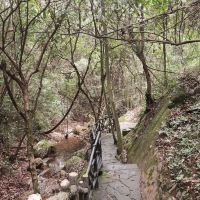 評論圖片 1