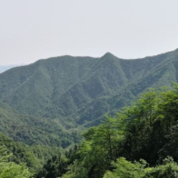 評論圖片 6