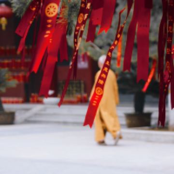 評論圖片 3