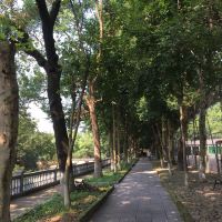 評論圖片 1