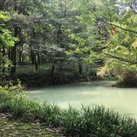 評論圖片 6