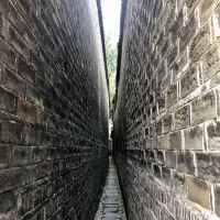 評論圖片 9