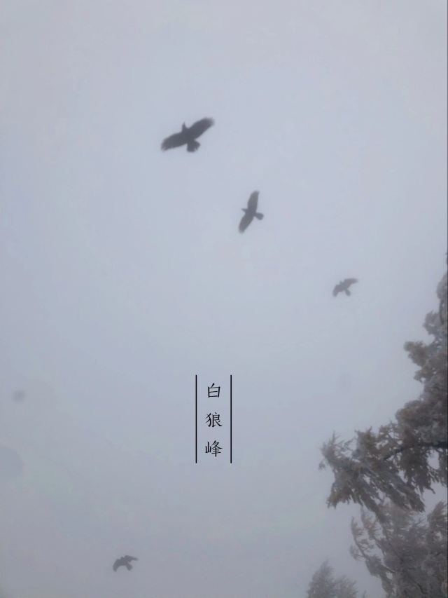 A'ershan Bailangfeng Sceneic Area