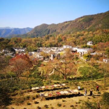 評論圖片 3