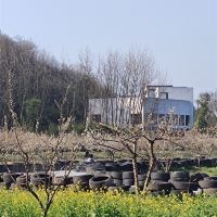 評論圖片 4