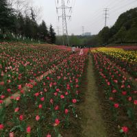 評論圖片 4