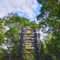 評論圖片 3
