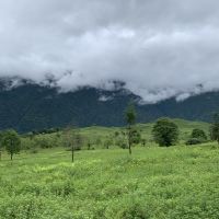 評論圖片 4