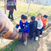 評論圖片 4