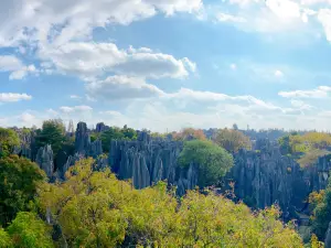 Stone Forest Scenic Area