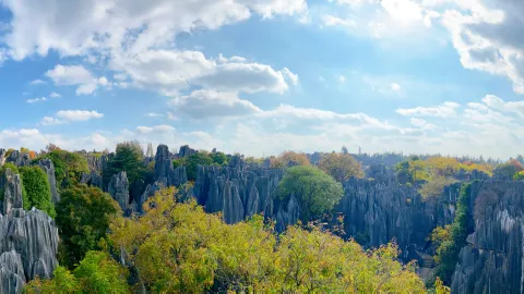 Stone Forest Scenic Area attraction in Kunming