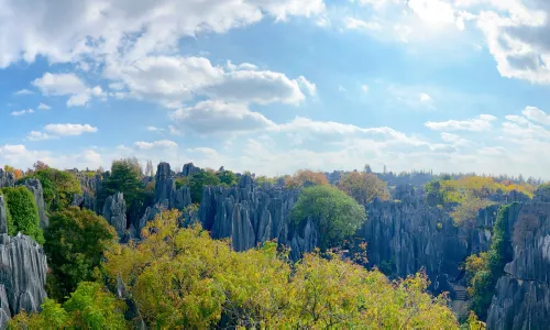 Stone Forest Scenic Area
