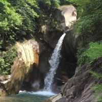 評論圖片 2