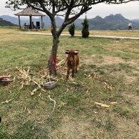評論圖片 5