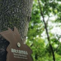 評論圖片 7