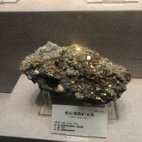 評論圖片 4