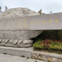 評論圖片 5
