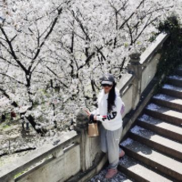 評論圖片 6